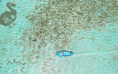 Ile maurice : acheter sa villa, pourquoi pas ?