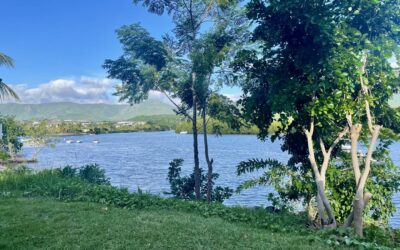 Duplex Exclusif à Black River – Luxe et Nature au Rendez-vous