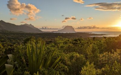 Terrain d’exception de 4 327 m² avec vue sur le Morne