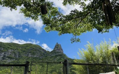 Ferme Agricole et Résidentielle entre Montagne et Nature – Autonomie, Confort et Sérénité!