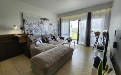 Appartement Lumineux avec Terrasses et Vues Dégagées au Centre