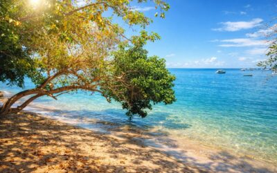 Appartement en rez-de-chaussée en front de mer à Rivière Noire