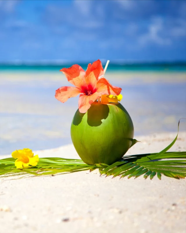 Savourez l’instant présent 🥥
Les pieds dans le sable, une eau de coco fraîche à la main, bercé par le doux bruit des vagues… L’Île Maurice offre un décor paradisiaque qui invite à la détente et au lâcher-prise.
#coco #coconut #ilemaurice #mauritius #paradise #beach #plage #lifestyle #dream #leadingluxuryhome