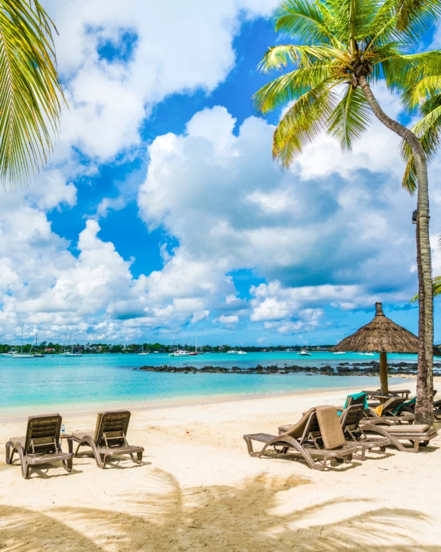 Pause, sérénité et horizon bleu 
Sur les plages de sable blanc de l’Île Maurice, le temps semble suspendu… Installez-vous confortablement à l’ombre d’un cocotier, laissez le murmure des vagues bercer vos pensées et profitez simplement de l’instant. Ici, le luxe, c’est de pouvoir ralentir et savourer chaque seconde.
#slowlife #break #ilemaurice #evasion #tropical #leadingluxuryhome #plage #beach #palmtree